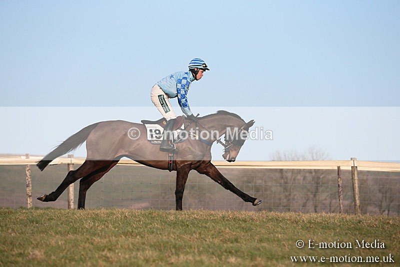 PtP 230219 594 - Vine & Craven Point-To-Point - Barbury 23/02/19