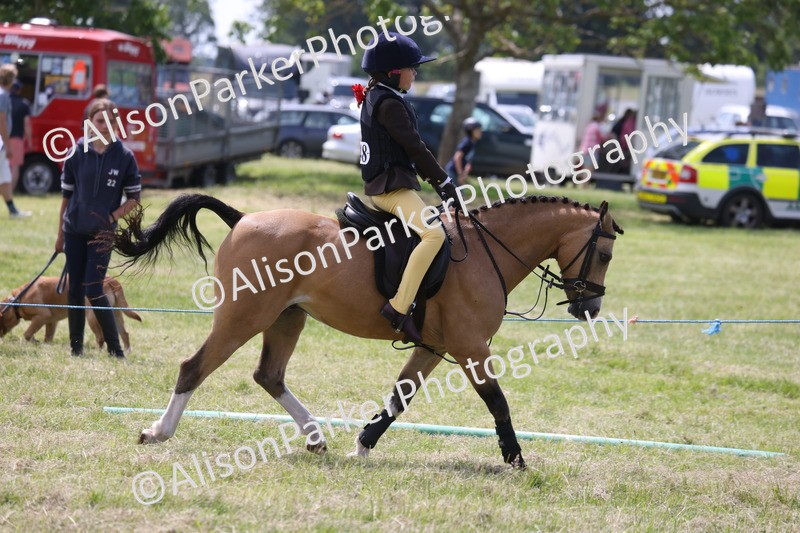 20260614-1912 - Class 21 - Novice Working Hunter Pony