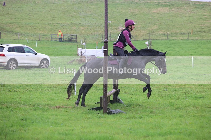 JPP_5109 - Class 1: 65cm : Showjumping