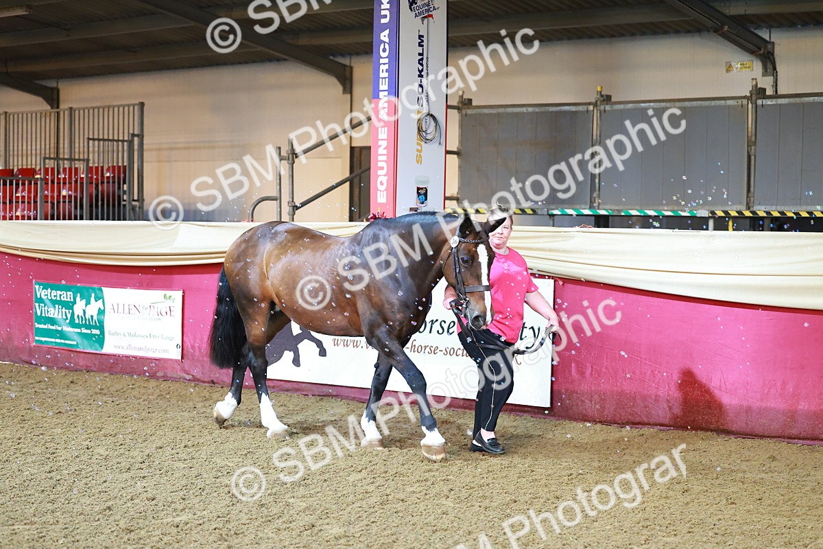 SBM_14660 - Class C - Novelty champ