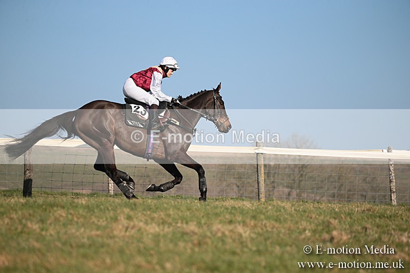 PtP 230219 398 - Vine & Craven Point-To-Point - Barbury 23/02/19