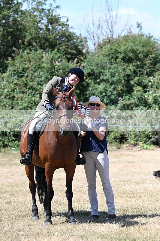 WJ7_3162 - Class 7 Riding Club Show Horse