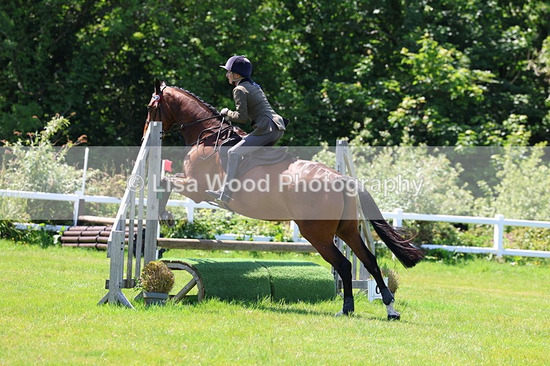 3E7A7458 - Class 31: Working Hunter Cob/Riding Horse