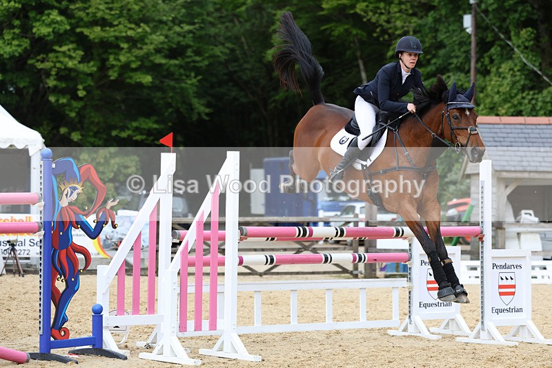 3E7A7603 - Class 8: Senior Foxhunter/1.20 open