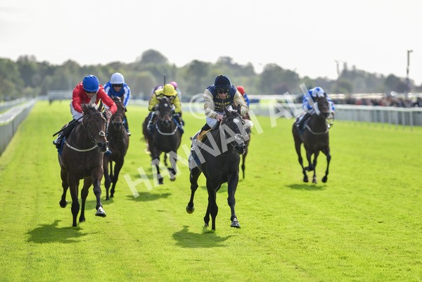 141023-Race 1-Purosangue-0530 - Race 1 1.15pm Coral Rockingham Stakes