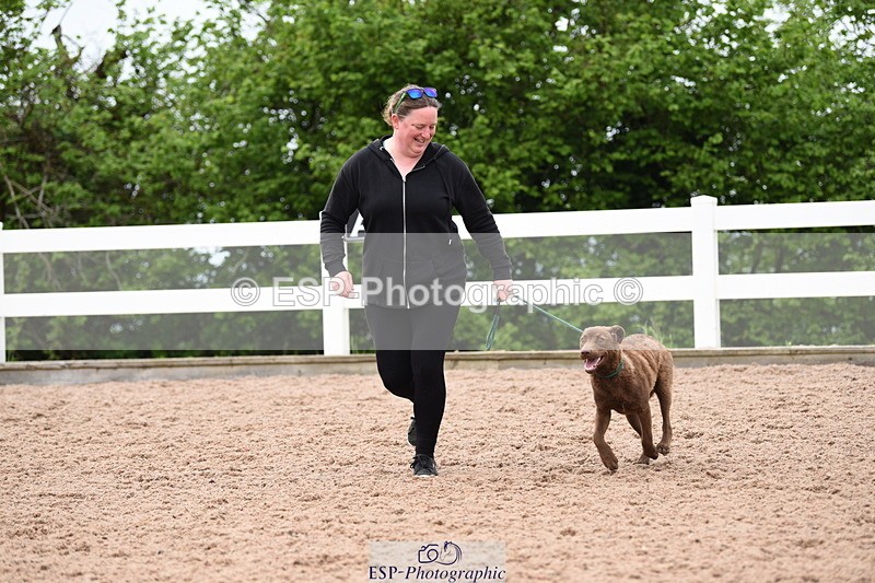 240518A-112202-00760 - Cls 1 Cutest Puppy