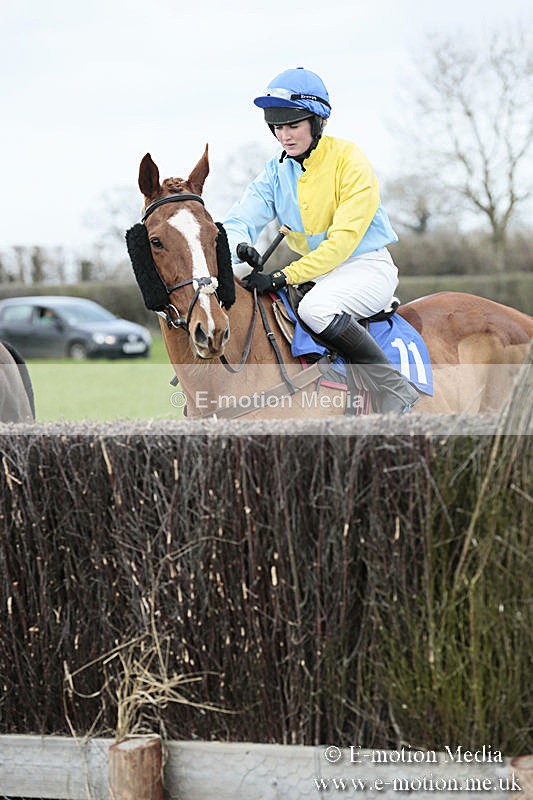 PtP 230319 69 - VWH Hunt Siddington Point-to-Point Racing 23/03/19