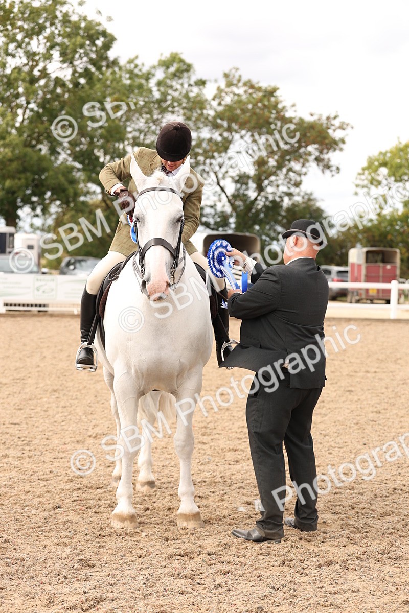 SBM_17278 - Class 213 - Ridden Hunter - Large