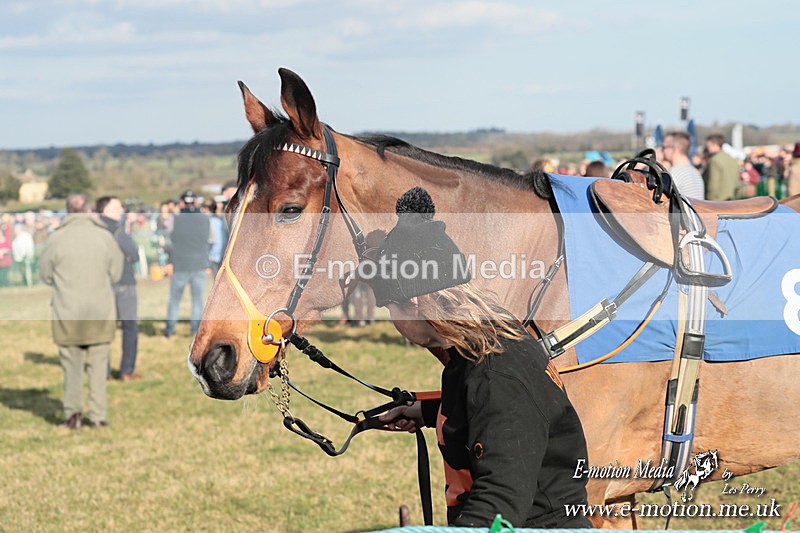 PtP 010325 384 - Beaufort Races Didmarton 01/03/25