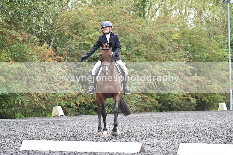 WJ7_3919 - Time 11:04 to 11:38