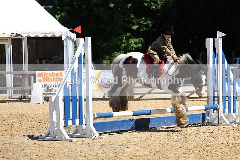 3E7A1962 - Class 2: 50cm