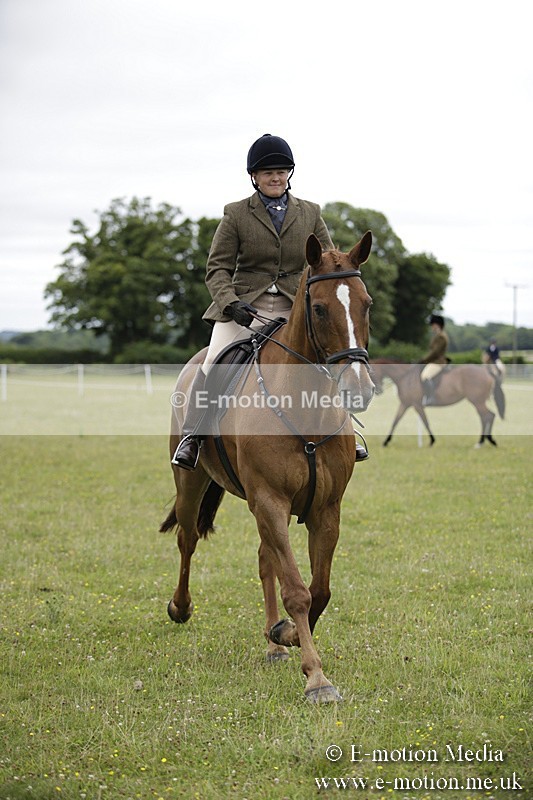 BVR160717-793 - Ring 1 BVRC Show 16/07/17