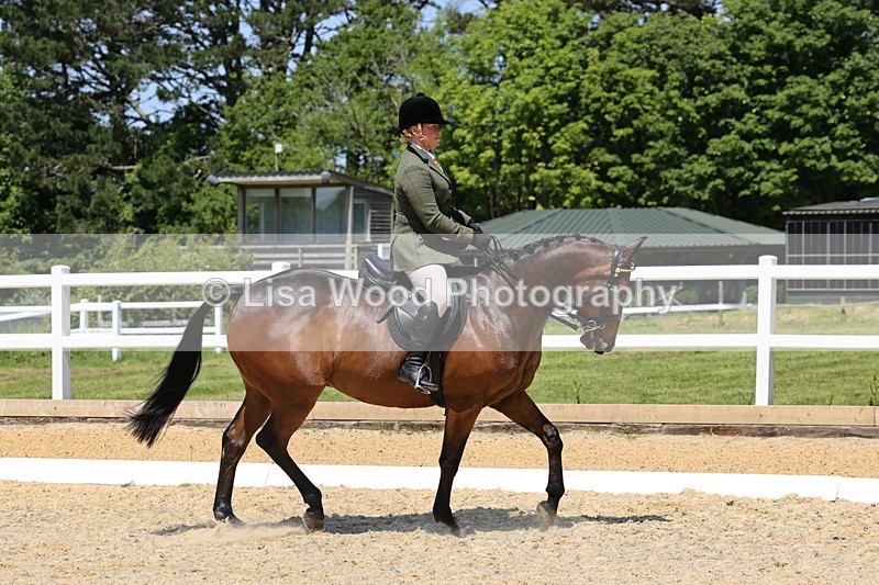 1X9A1799 - Class 12: Ridden Riding Horse/Hack