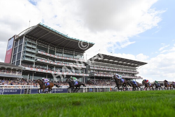 yr20082022r3-17 - Race 3 3.00pm Sky Bet City of York Stakes