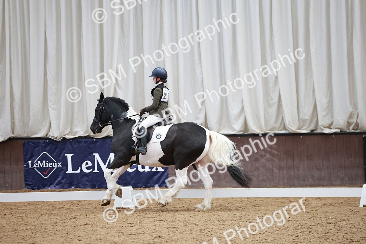 SBM_003878 - Class 2 - Novice 2020