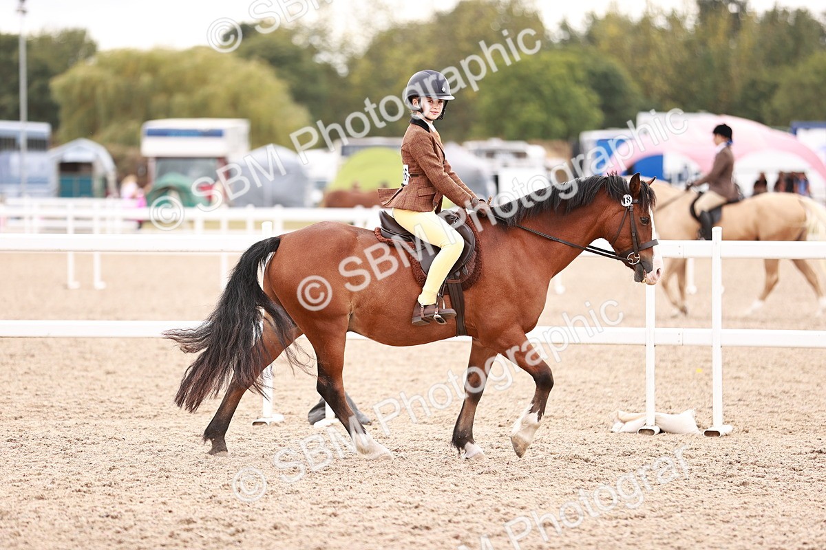 SBM_18460 - Class 420 - Ridden M&M