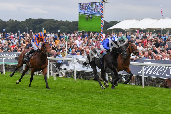 230823-Race 4-Mostahdaf-0588 - Race 4 3.35pm Juddmonte International Stakes