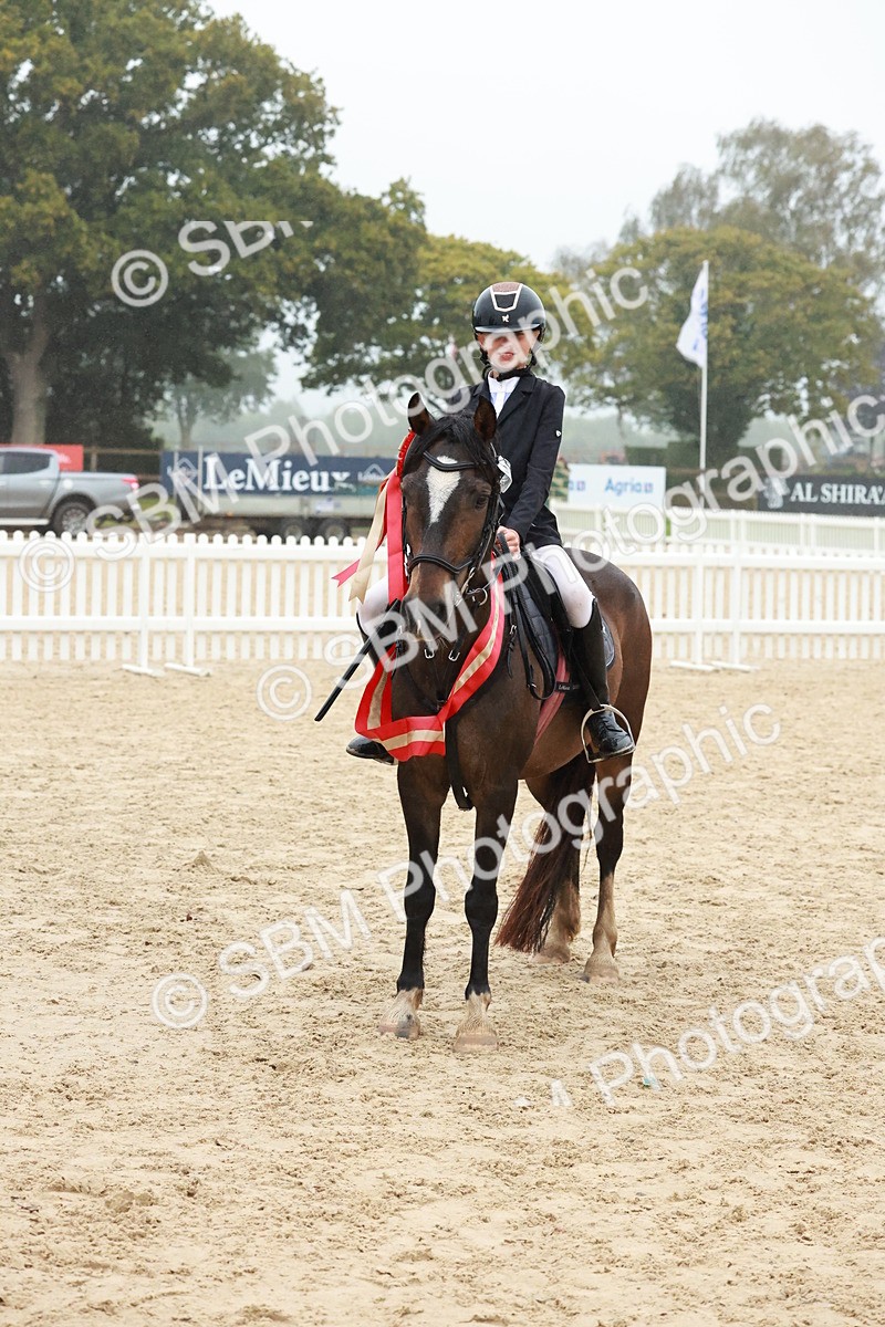 SBM_73462 - Supreme Championship Junior Pony 60cm & 65cm