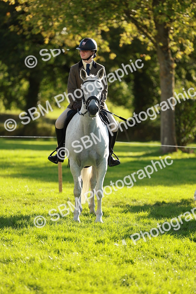 SBM_28708 - S7 - Novice & Newcomer Ridden Pony