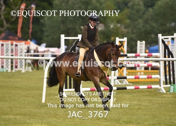 JAC_3767 - 75CM WORKING HUNTER