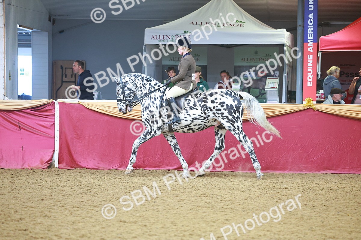 SBM_12508 - Class 103 - HOYS Veteran Qualifier - Ridden Pre Vet