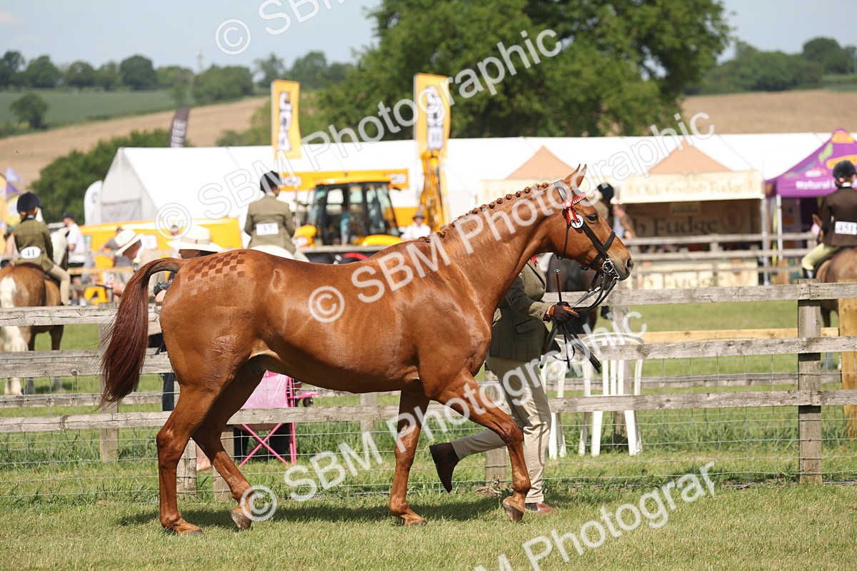SBM_09068