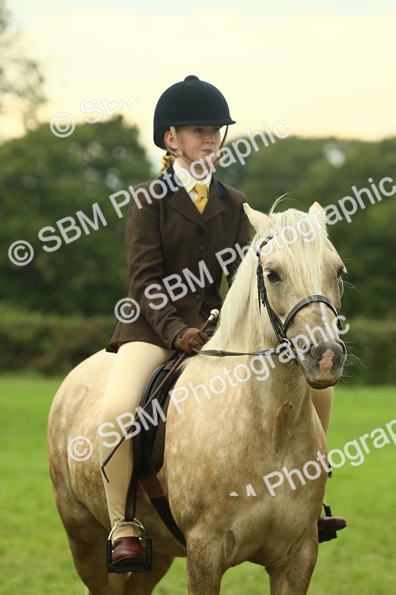 SBM_72262 - S60 - Mountain & Moorland Ridden Large Breeds