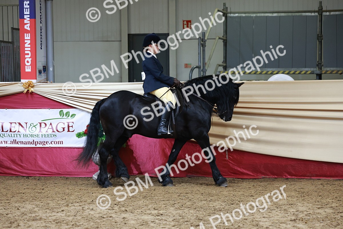 SBM_18673 - Class 952 - M&M Ridden Supreme Final