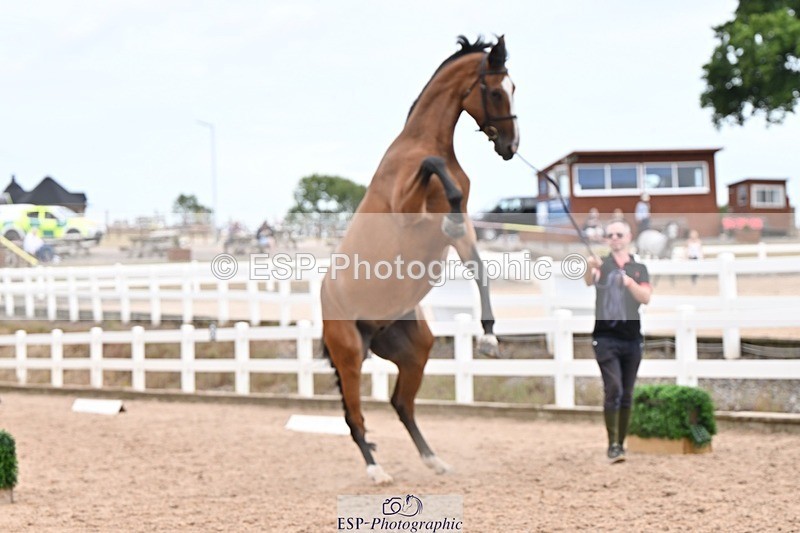 250716-155105-02227 - Trot Up 3.30 to 4.30