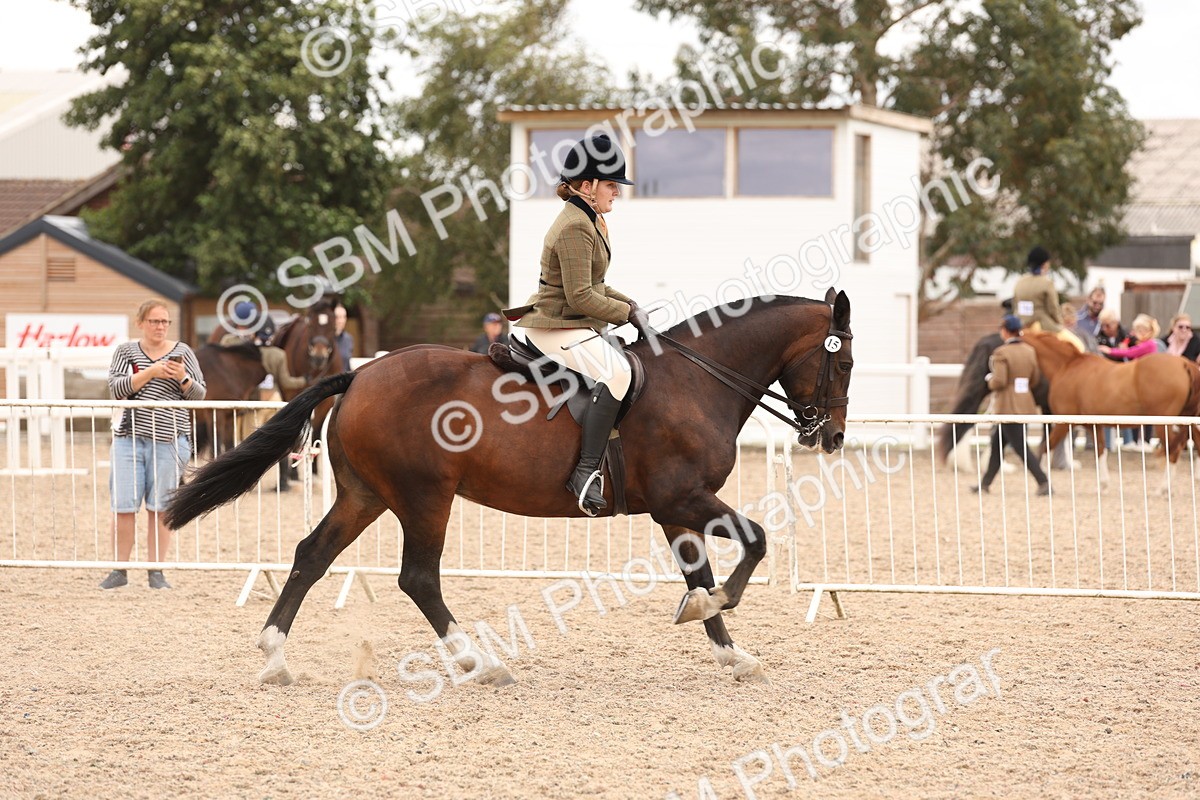 SBM_19537 - Class 215 - Ridden Show cob