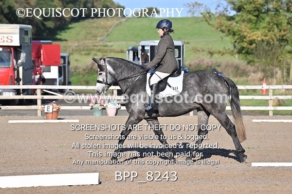 BPP_8243 - SHORT ARENA