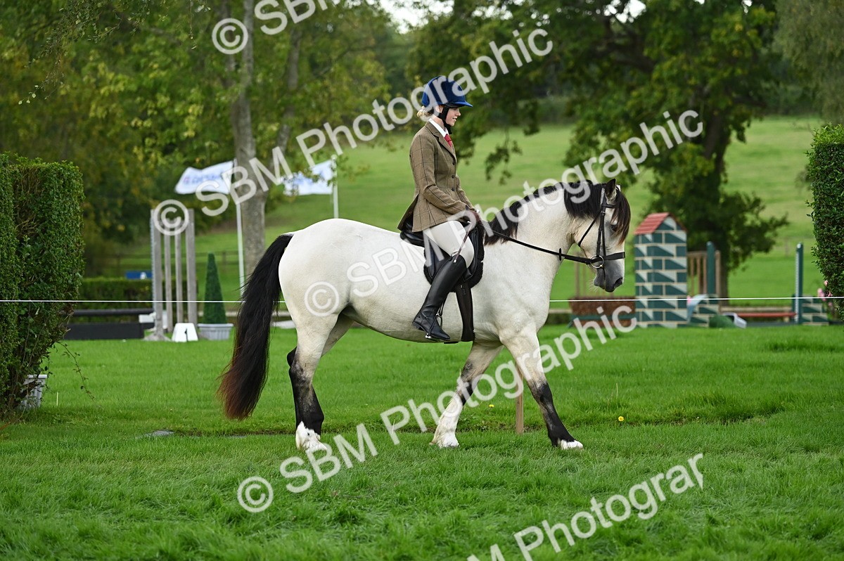 SBM_26549 - S7 - Novice & Newcomer Ridden Pony