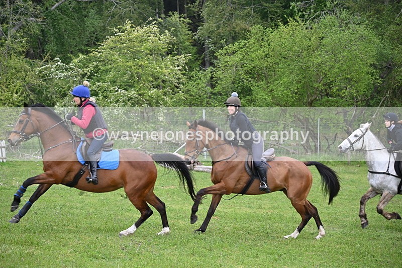 WJ6_2480 - A Camera