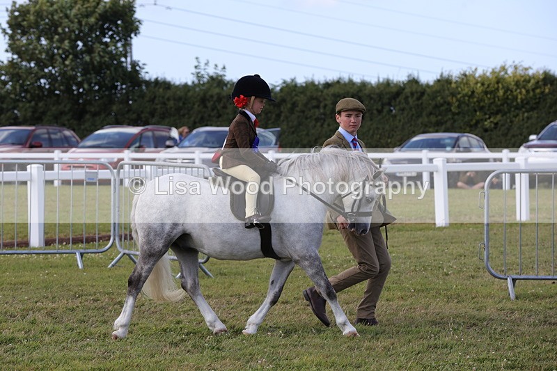 1X9A5491 - M&M Mini Ridden Championship