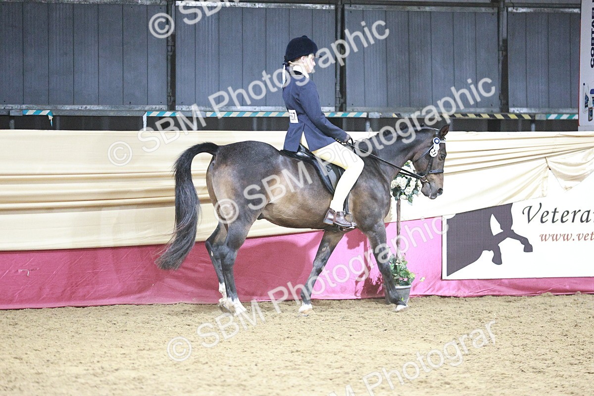 SBM_08008 - Class 11R - Regional Ridden Veteran