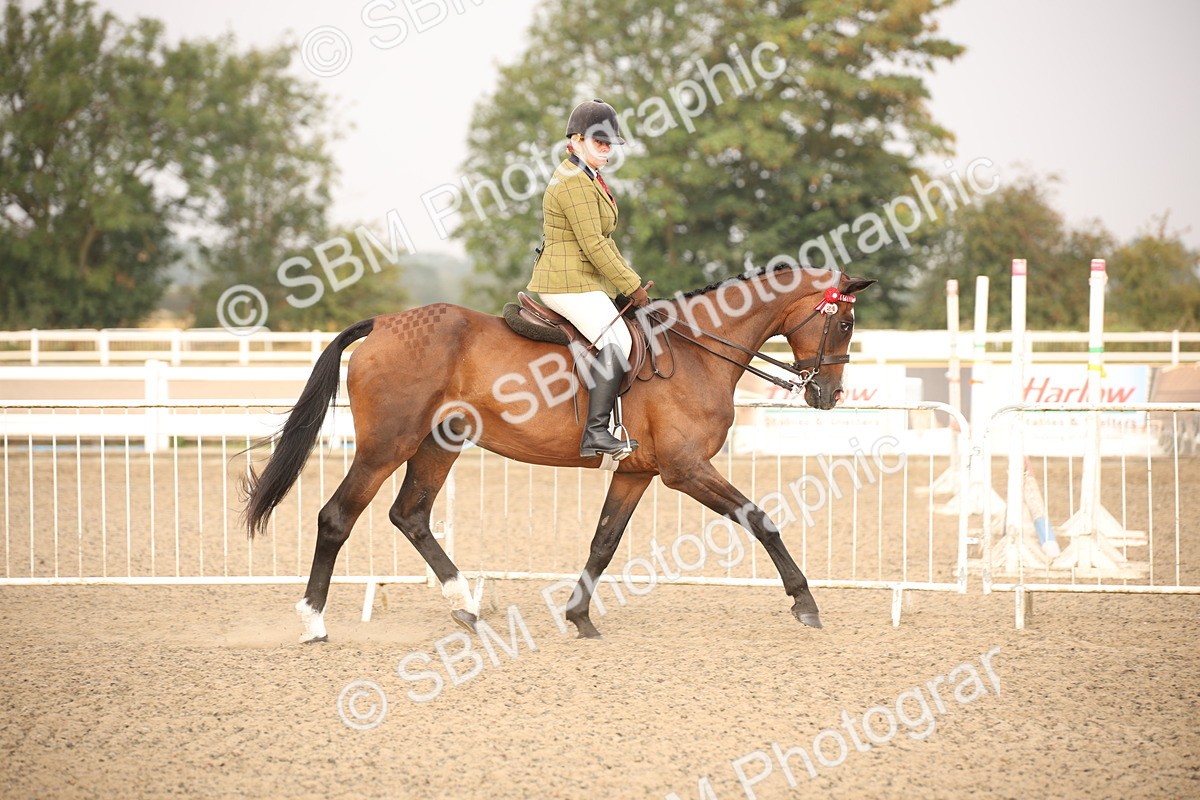 SBM_10196 - Class 402 Riding Club Horse