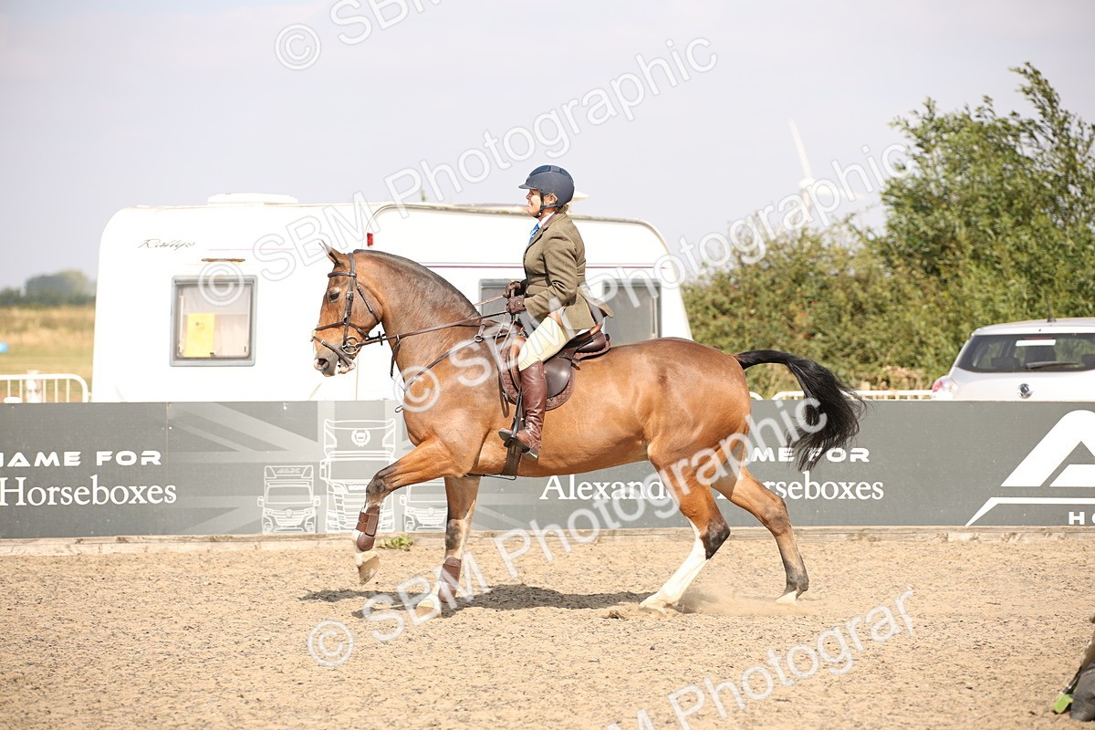 SBM_15022 - Class 408a - Working Veteran 70cm (15-19