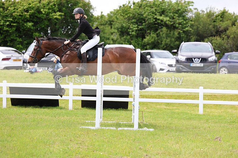 3E7A7264 - Class 13: Senior British Novice/90cm open