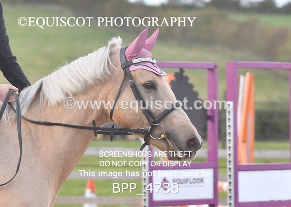 BPP_4738 - CLASS 12 HORSE 80CM FINAL