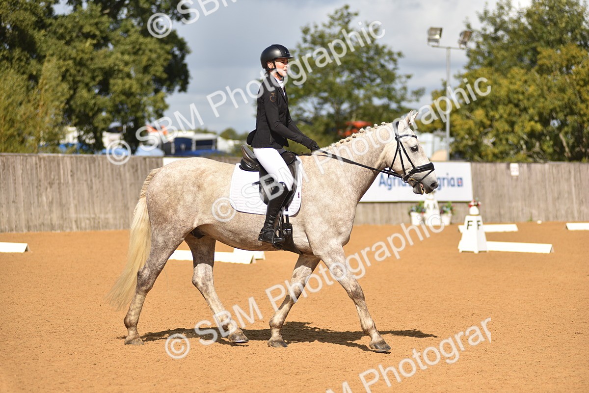 SBM_03092 - D4 - Small Tour Championship Intro 4
