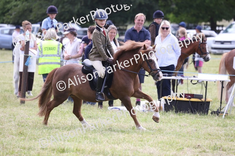 20260614-2097 - Class 21 - Novice Working Hunter Pony