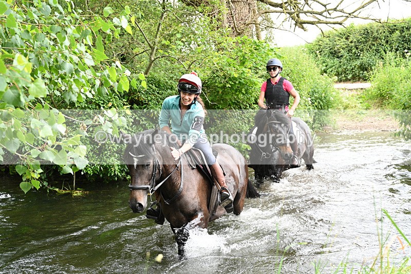 WJ7_2316 - Camera 2 Water Crossing