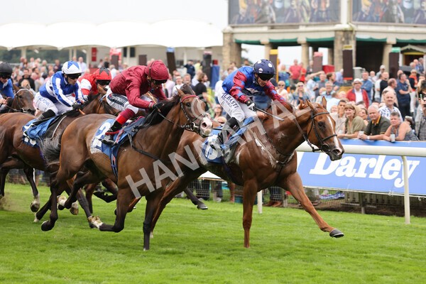 yr19082021r3-32 - Race 3 3.00pm Clipper Logistics Stakes
