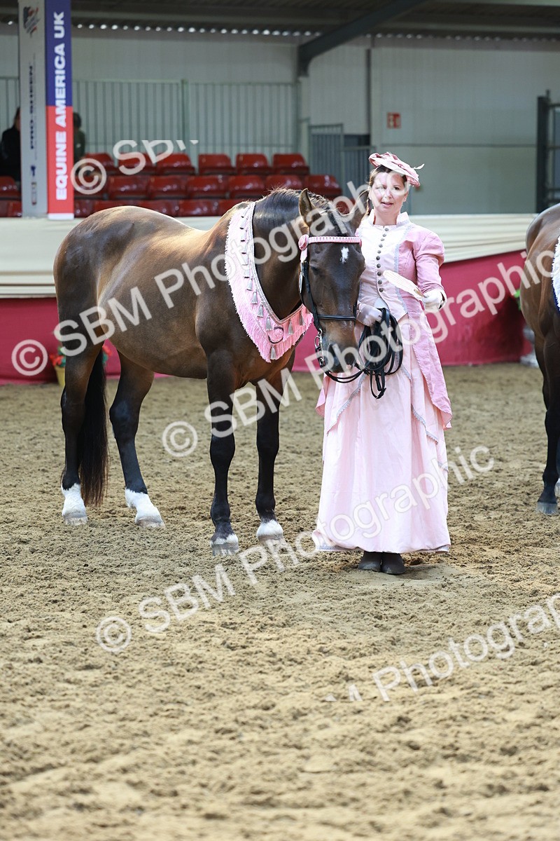 SBM_12121 - Class 103 - IH Costume