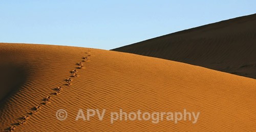 Footprints... - Travel Images