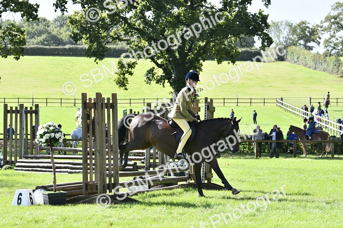 SBM_38261 - S31 - Novice & Newcomer Working Hunter Pony
