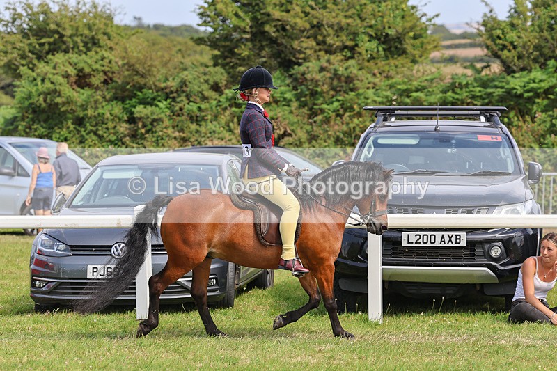 IMG_3735 - M & M Ridden Championship