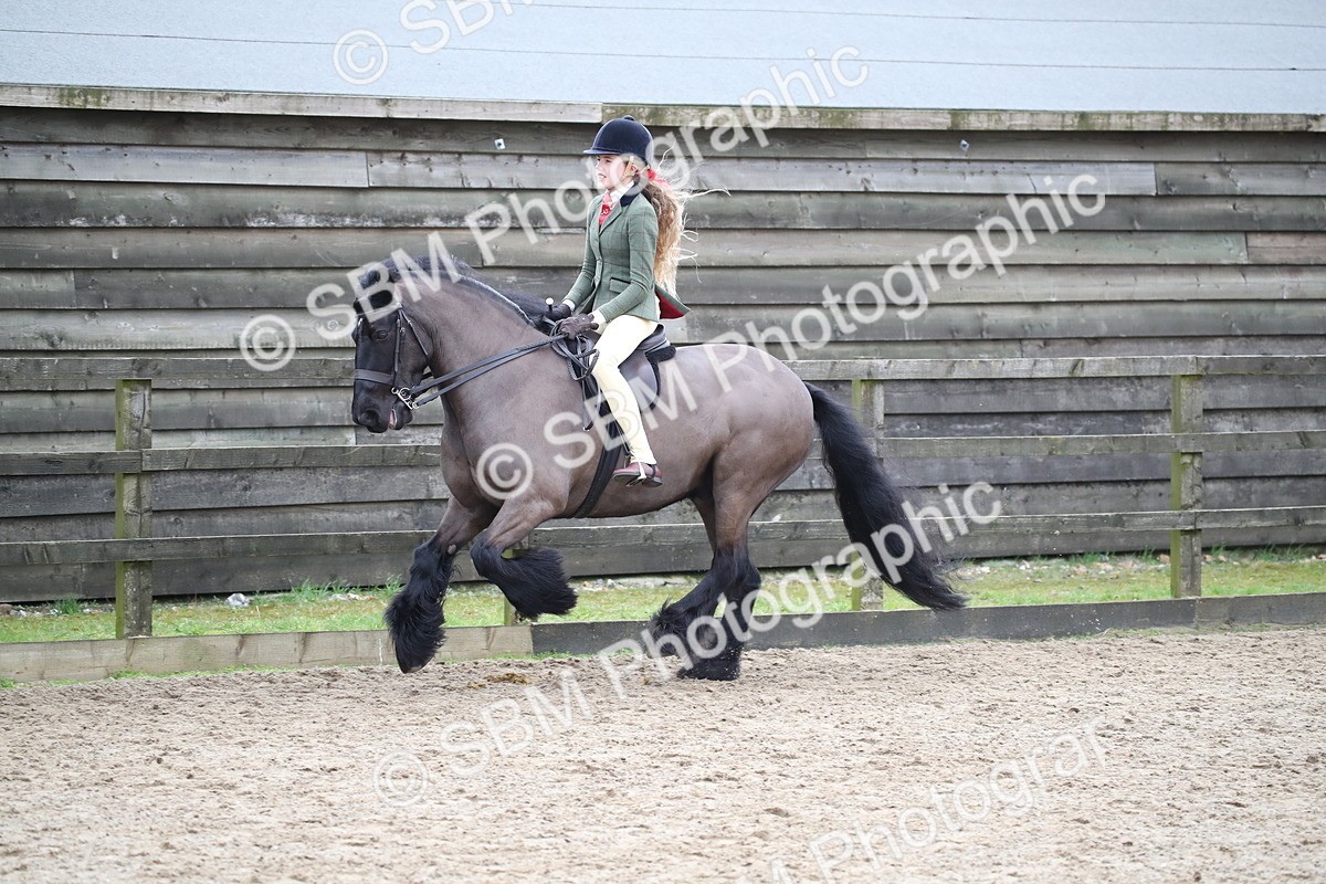 SBM_006150 - Class 10-13 - RIHS Small Large Breeds