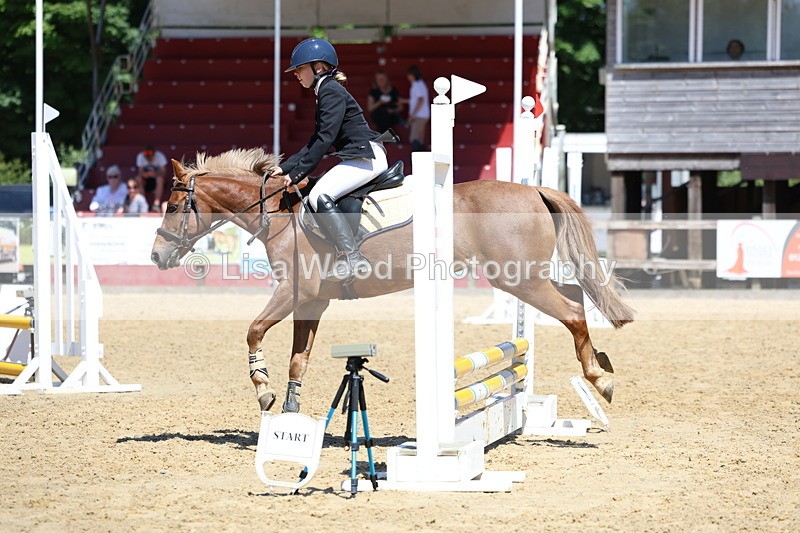 3E7A2510 - Class 4/5: 60cm Open Teams and Individuals