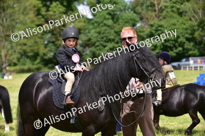 20260614-1344 - Class 11a - Lead Rein Pony (Unplaited)